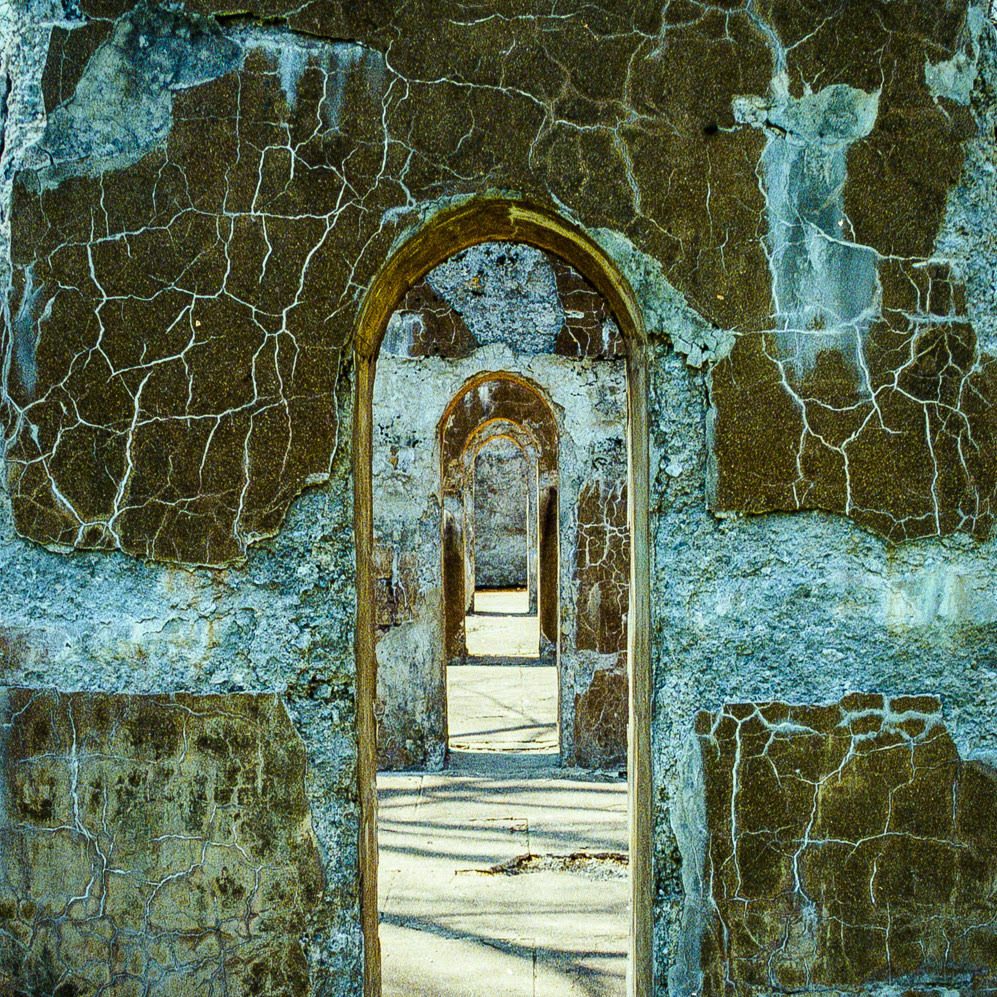 Photograph of mossy doorways by Surly Hedgehog Photography & Design