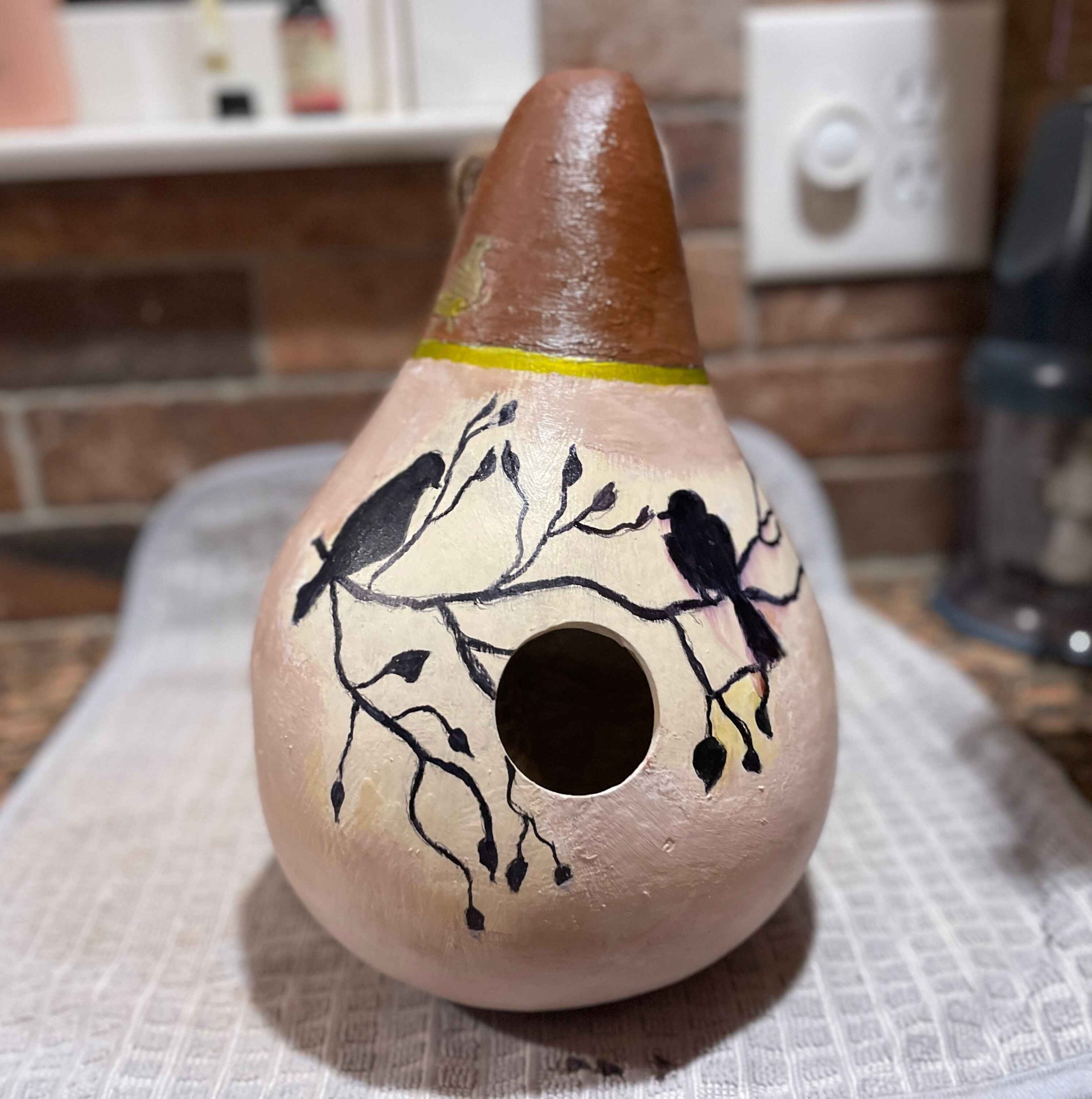 Birdhouse Gourds