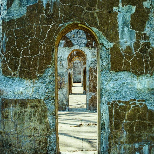 Photograph of mossy doorways by Surly Hedgehog Photography & Design